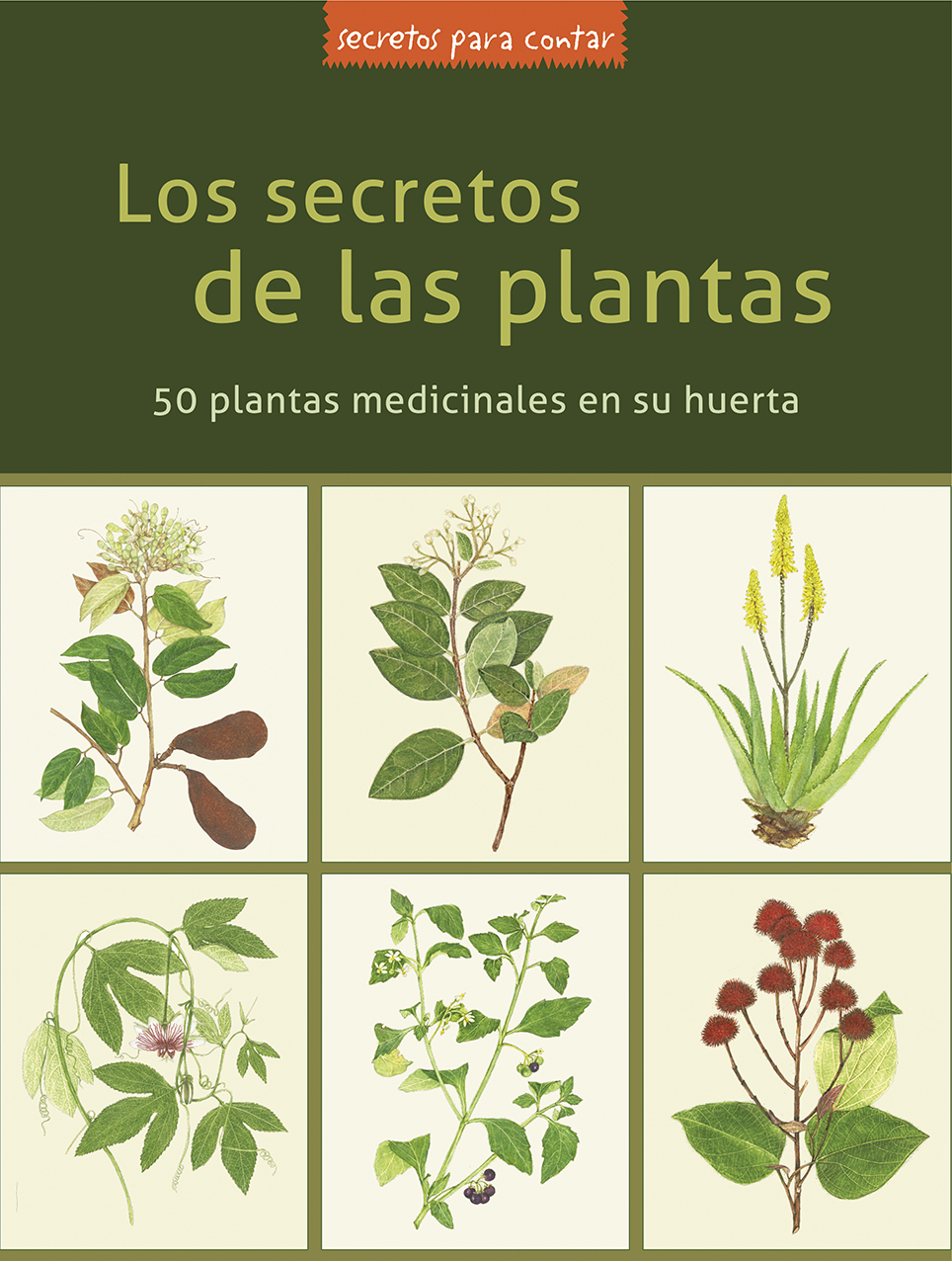 Portada libro Secretos de las Plantas